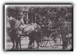 Horse and carriage