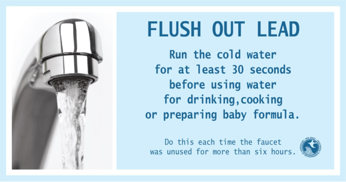 Flush Out Lead