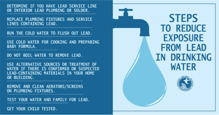 Steps to Reduce Lead