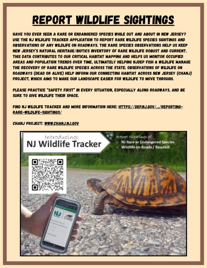 Wildlife